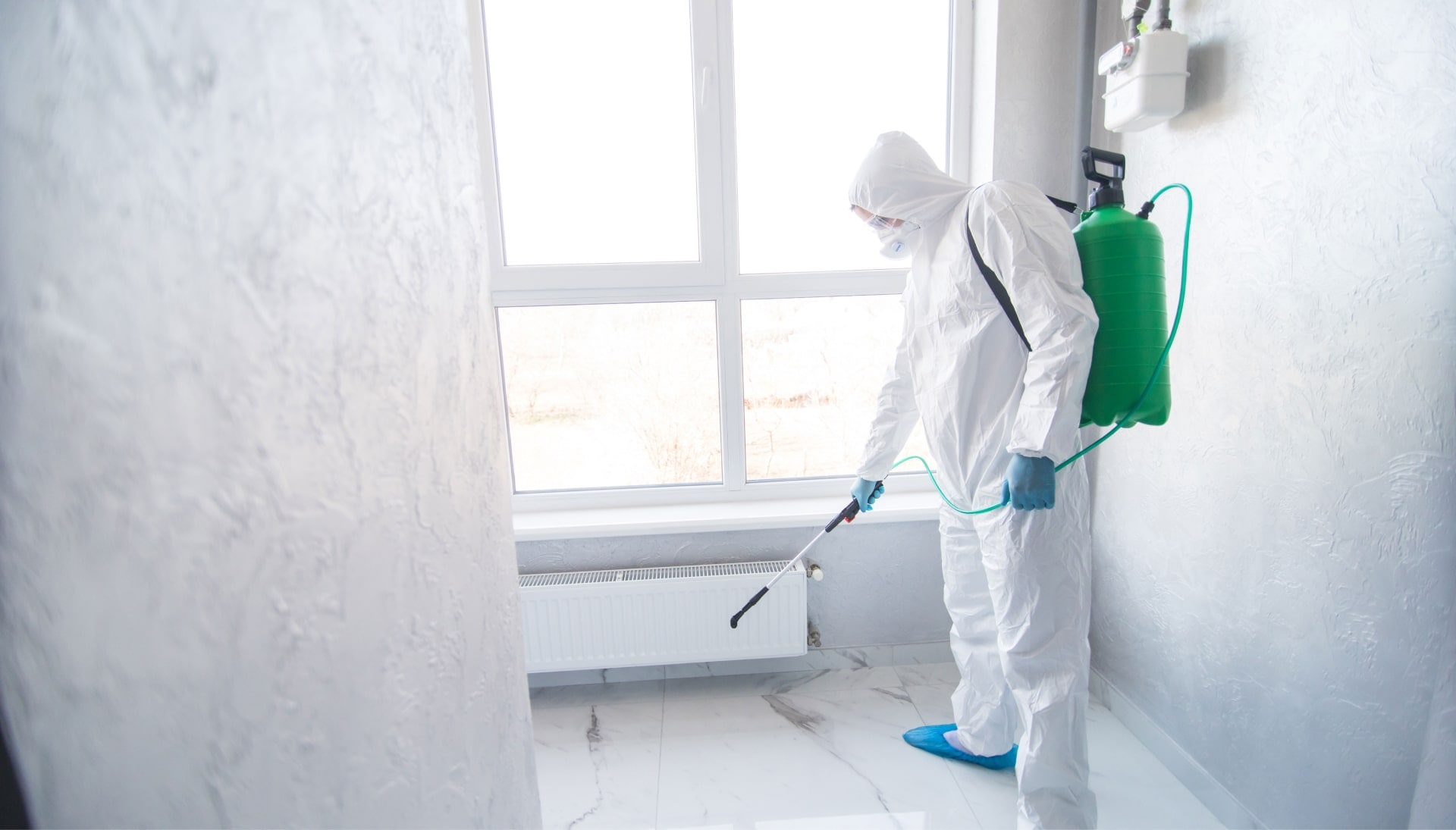 Mold-Inspection in San Jose